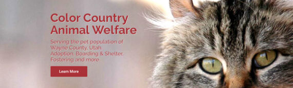 Color Country Animal Welfare